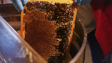 the beekeeper puts frames into honey production machine