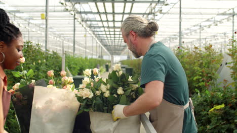 trabajador masculino empujando un carrito con rosas a través de un invernadero de flores