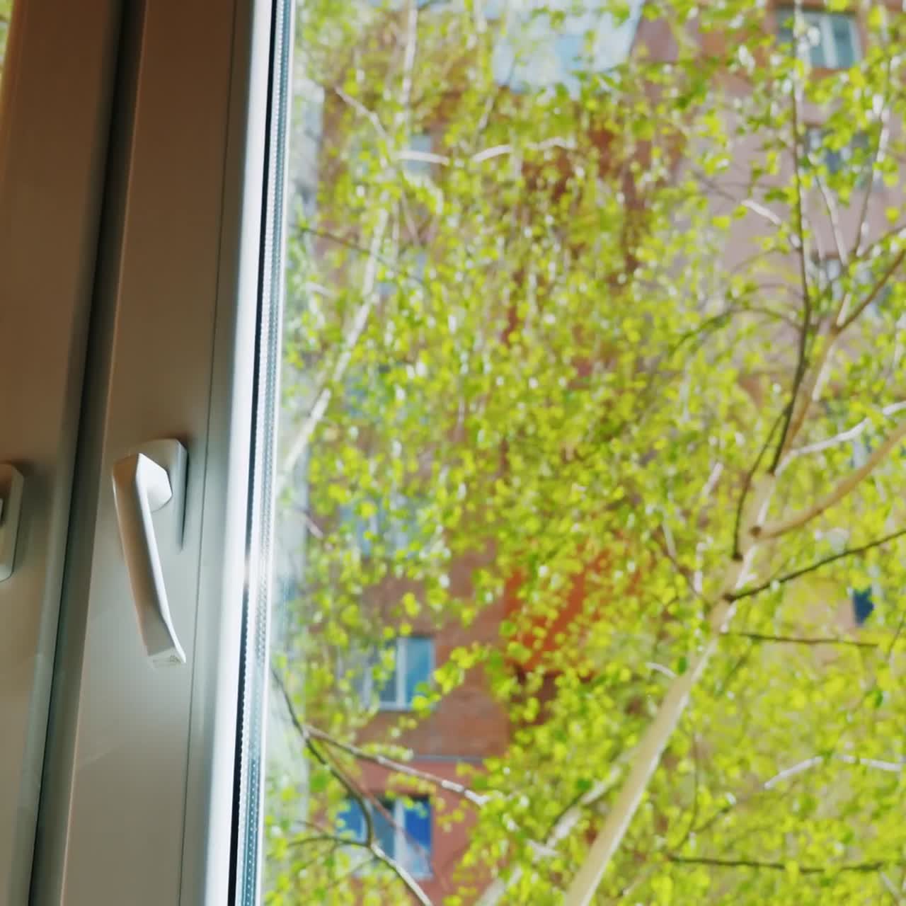 집이나 아파트의 창에서 보기