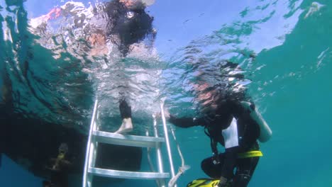 a underwater view of scuba divers entering a boat using a ladder