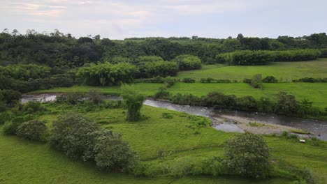 Rivers,-trees,-animals-and-nature-of-Colombia