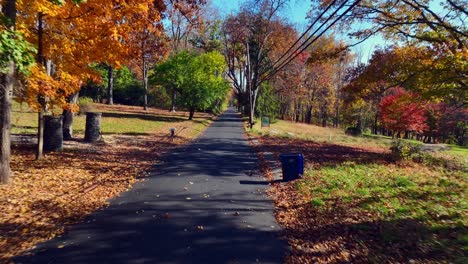 Eine-Luftaufnahme-Aus-Geringer-Höhe-Einer-Ruhigen-Landstraße-Mit-Bunten-Bäumen-Auf-Beiden-Seiten-An-Einem-Sonnigen-Herbsttag