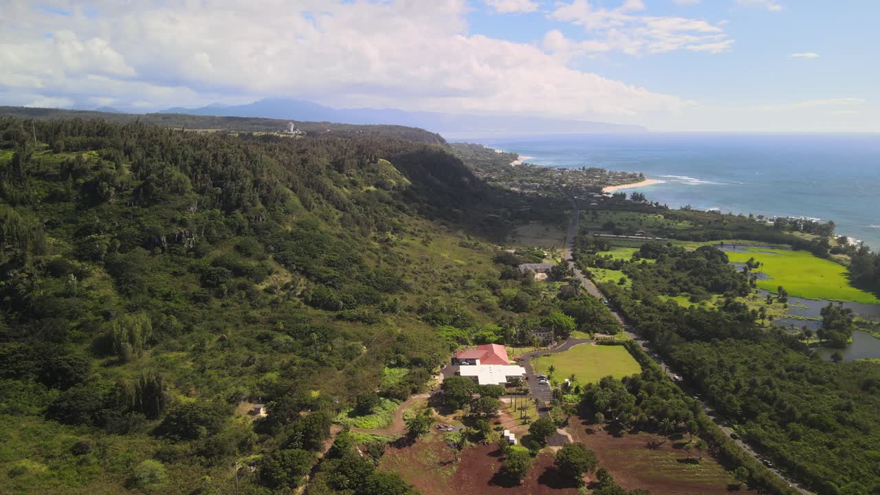 Aerial View of Lush Hawaiian Coastline
