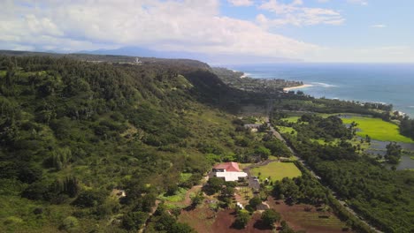 aerial view of lush hawaiian coastline