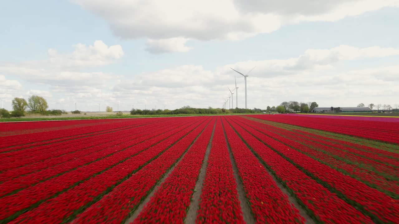 은 립 필드와 풍력 터빈 앞으로 이동