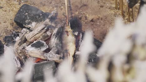 fish being barbecued on the charcoal in kyoto, japan