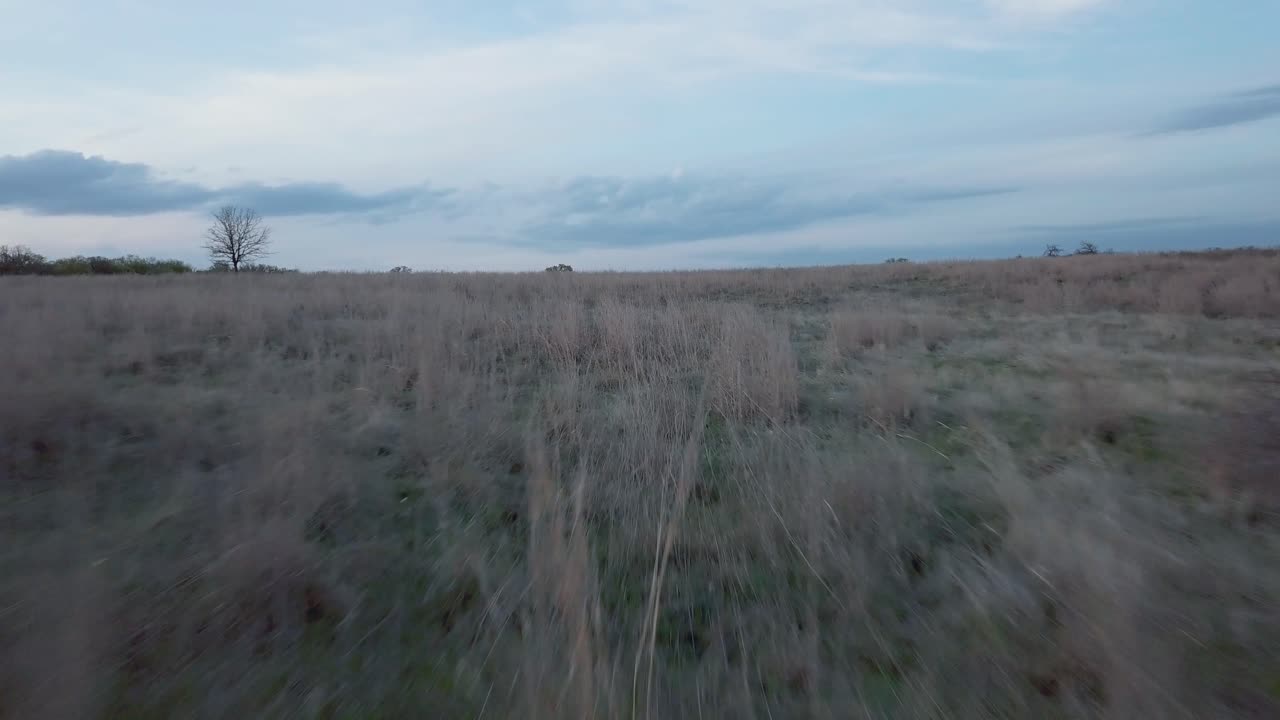 rancho jacksboro texas