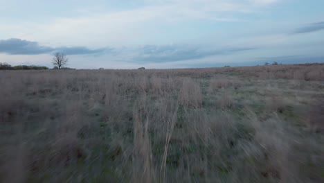 rancho jacksboro texas
