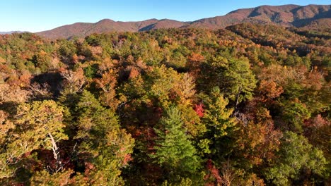 fall-color,-appalchian-mountains-near-bryson-city-nc,-north-carolina