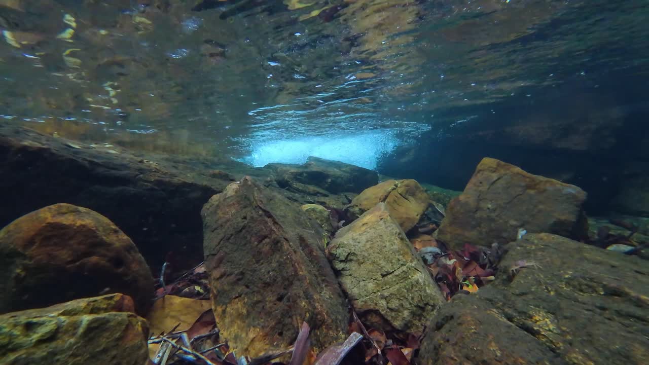 A small stream feeds into a clear pond, seen from beneath the surface.