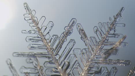 Cristales-De-Hielo-De-Copo-De-Nieve-Dendritas-Estelares-Bajo-El-Microscopio-Macro-Gran-Aumento-De-Cerca