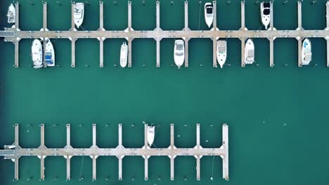 boats docked in port washington marina with white birds flying overhead