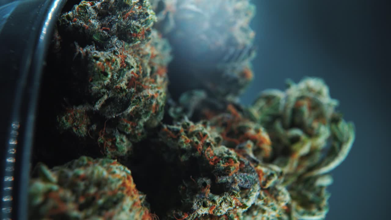 A vertical macro close up cinematic shot of a cannabis plant, hybrid strains, Indica and sativa ,marijuana flower, on a 360 rotating stand in a shiny bowl, slow motion, 4K