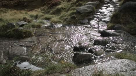 mountain marathon runners on a cold and rainy day competing in a race in winter