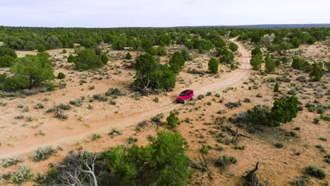 red jeep offroading with dense juniper trees on the wild near white pocket, utah usa