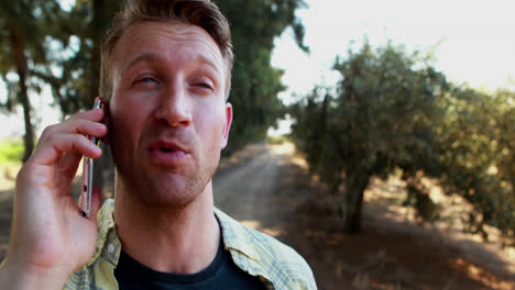 man talking on mobile phone in olive farm 4k