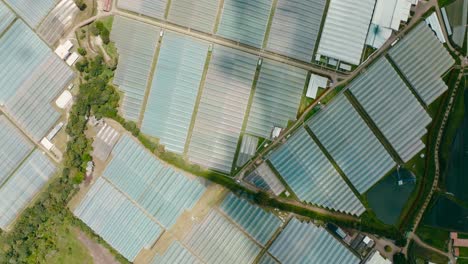 aerial shot over agricultural fields, crops and greenhouses