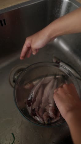 cleaning fish in the kitchen sink