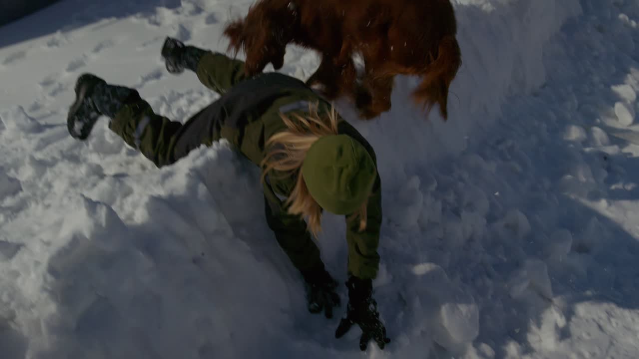 Girl and Irish Setter Playing in Deep Winter Snow