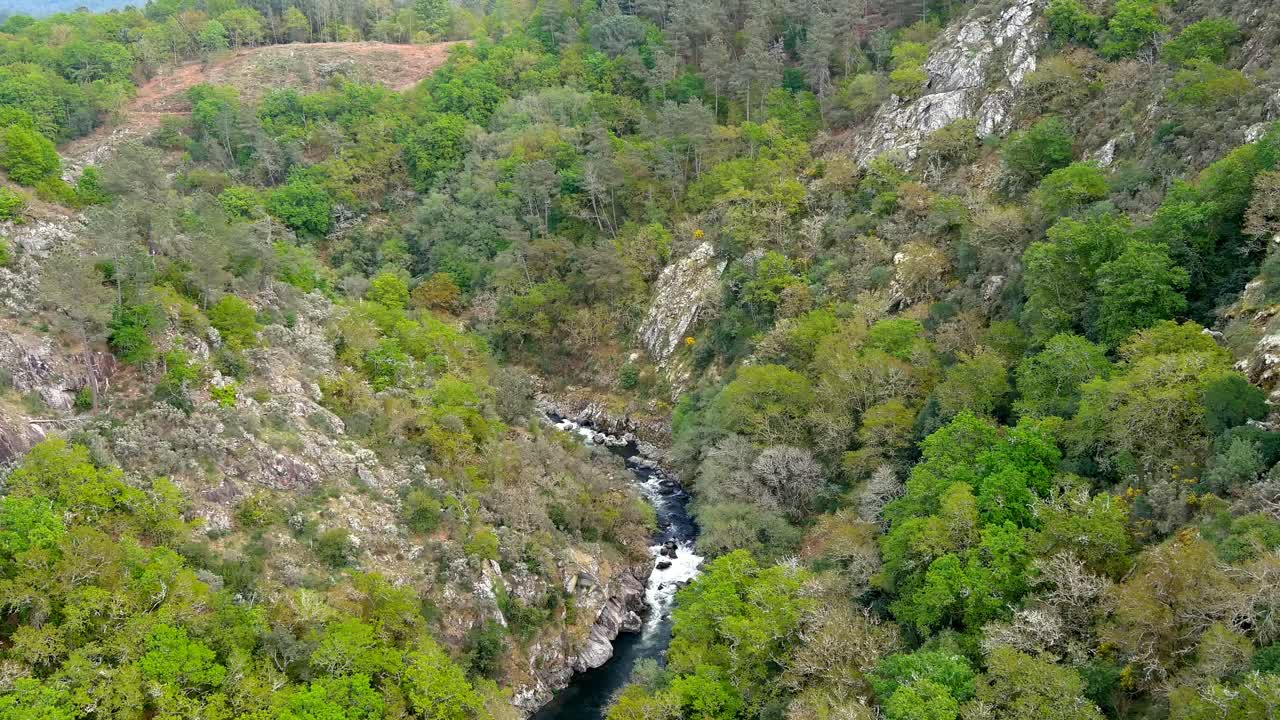 vuelo aéreo sobre el barranco del bosque con el río deza tejiendo a través