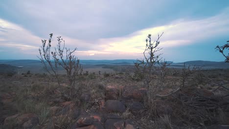 charred rocks and dry shrubs in african landscape below cloudy sky