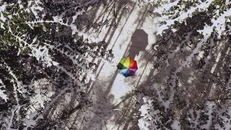 slow aerial rising shot looking down at a rainbow colored umbrella in a white winter landscape of a clean forest as color contrast