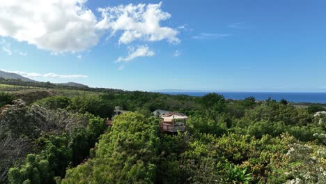 Spectacular-Views-Of-A-Cacao-Farm-Along-The-Coast-Of-Maui