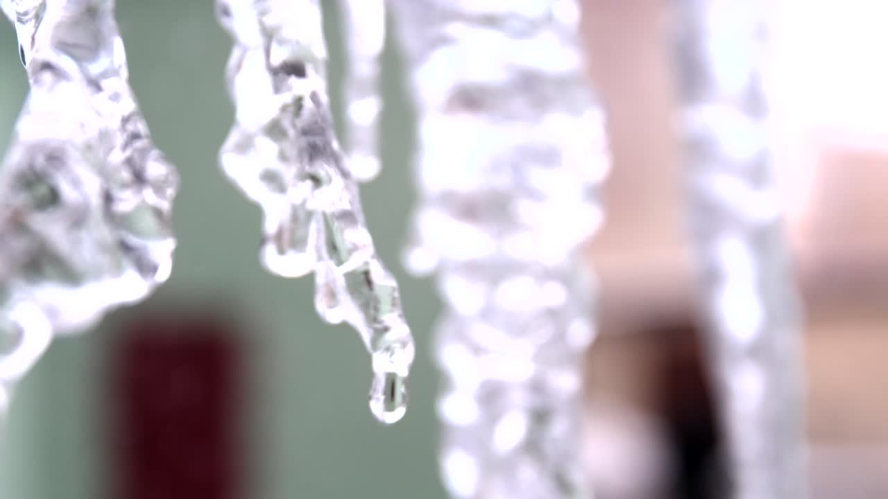 얼음 어리의 클로즈업