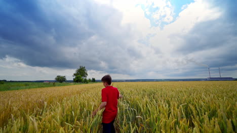 happy boy in agriculture field. teenager in red t-shirt runs joyfully on a wheat field against cloudy sky in summer. view from back.