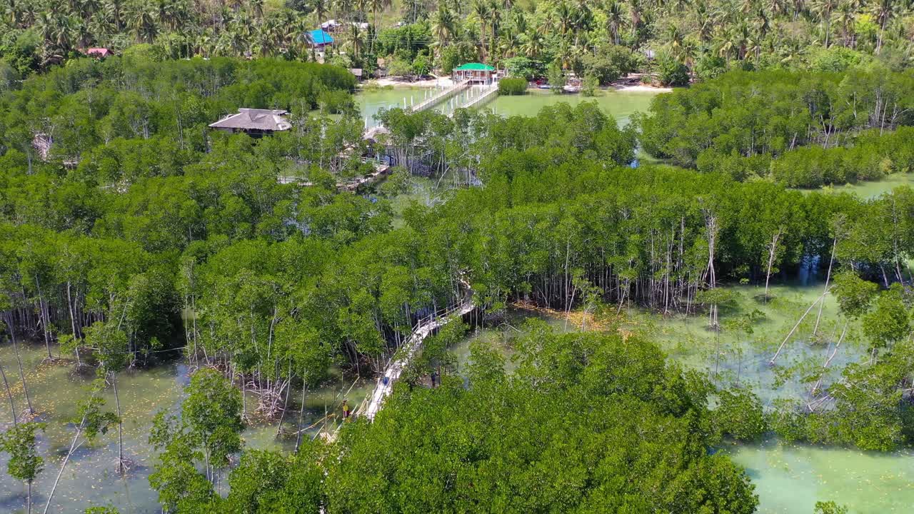 Bantayan Island Omagieca Obo Ob Mangrove Sea Garden in the Philippines, Aerial dolly out shot