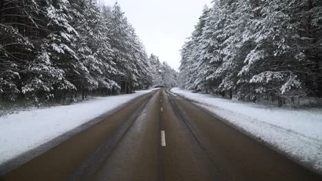 pov of car driving on snowy frosty asphalt road surrounded by snow-covered pine trees in winter