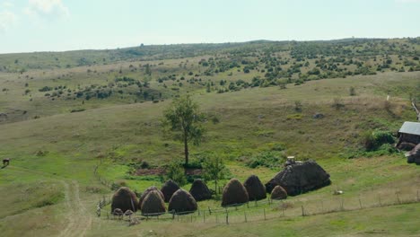 antena: viejos edificios tradicionales de la granja en la remota ladera europea