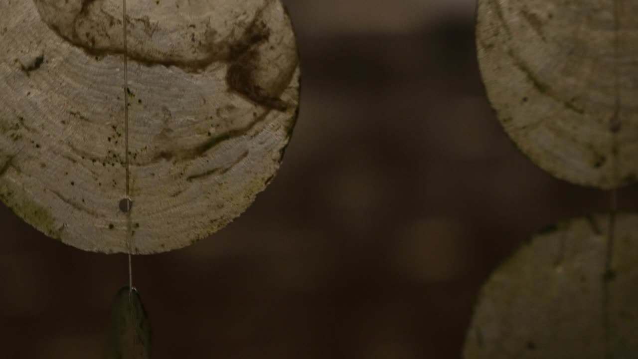 pared de concha - campanas de viento