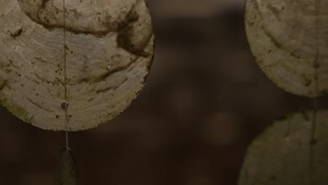 shell wall - wind chimes