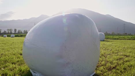 Silo-Silage-Bales-of-Hay-Grass-in-Agricultural-Farmland---Cinematic-Sun-Flare