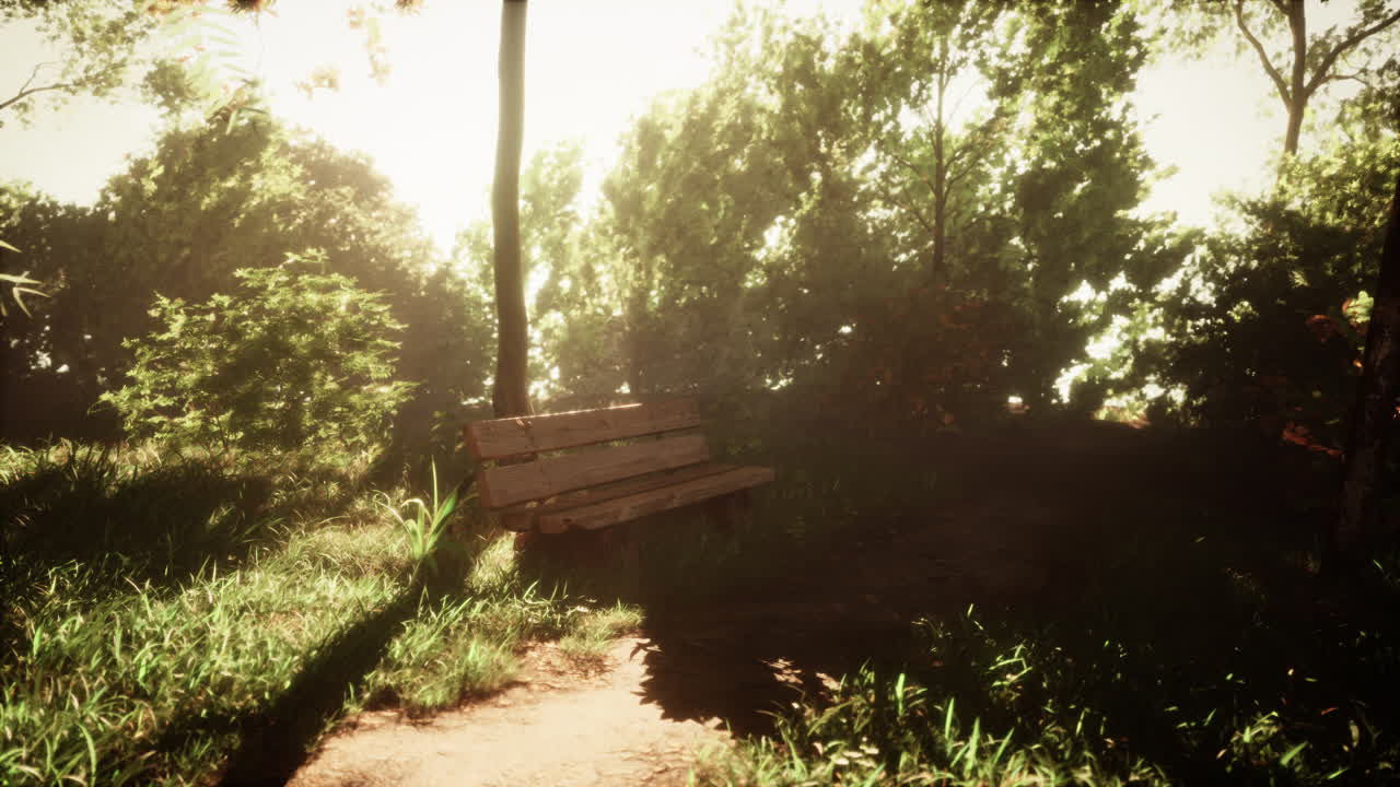 이 많은 숲 속 의 공원 벤치