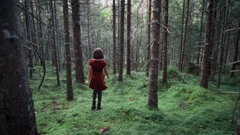 camera following a girl with short brown hair, wearing a red dress, walking through a spruce forest at day time