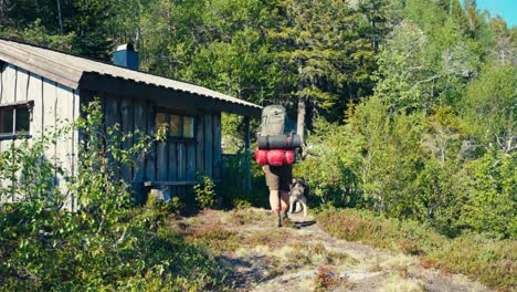 a man and his dog walk towards a wooden cabin on their route from seterdjupna to malitjønna in indre fosen, trøndelag, norway - static shot