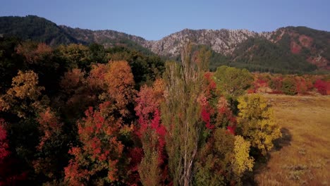 Eine-Epische-Aufnahme-Der-Herbstfarben-In-Der-Nähe-Von-Logan-Canyon