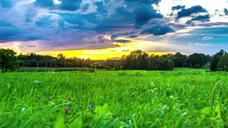 Time-lapse-Escénico-De-Campo-De-Hierba-Con-Bosque-Exuberante-Y-Nubes-En-Movimiento-Durante-La-Puesta-De-Sol