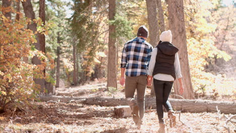 adult couple hold hands walking through a forest, back view