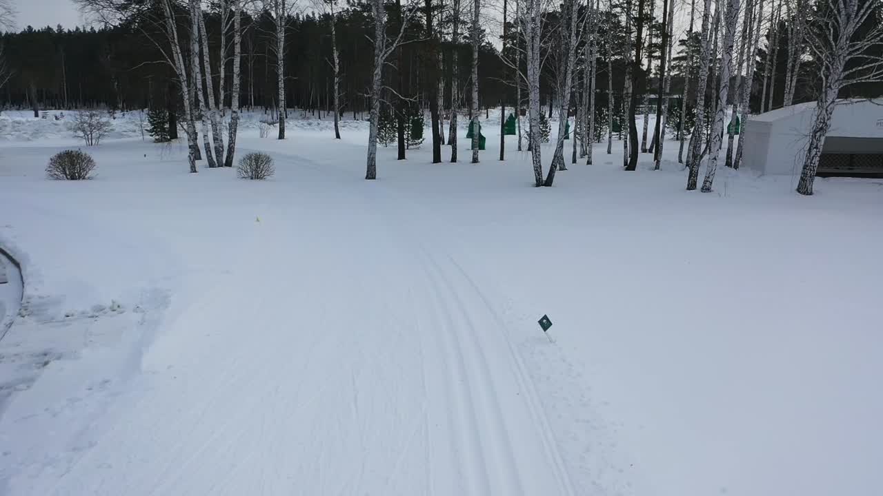 공원에서 겨울 크로스컨트리 스키