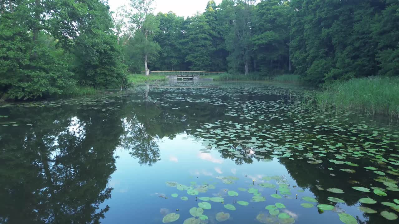 Witness dawn's embrace from above—drone gracefully surveys Europe's reflective lake, thriving forest, and intricate water dam, a majestic aerial experience