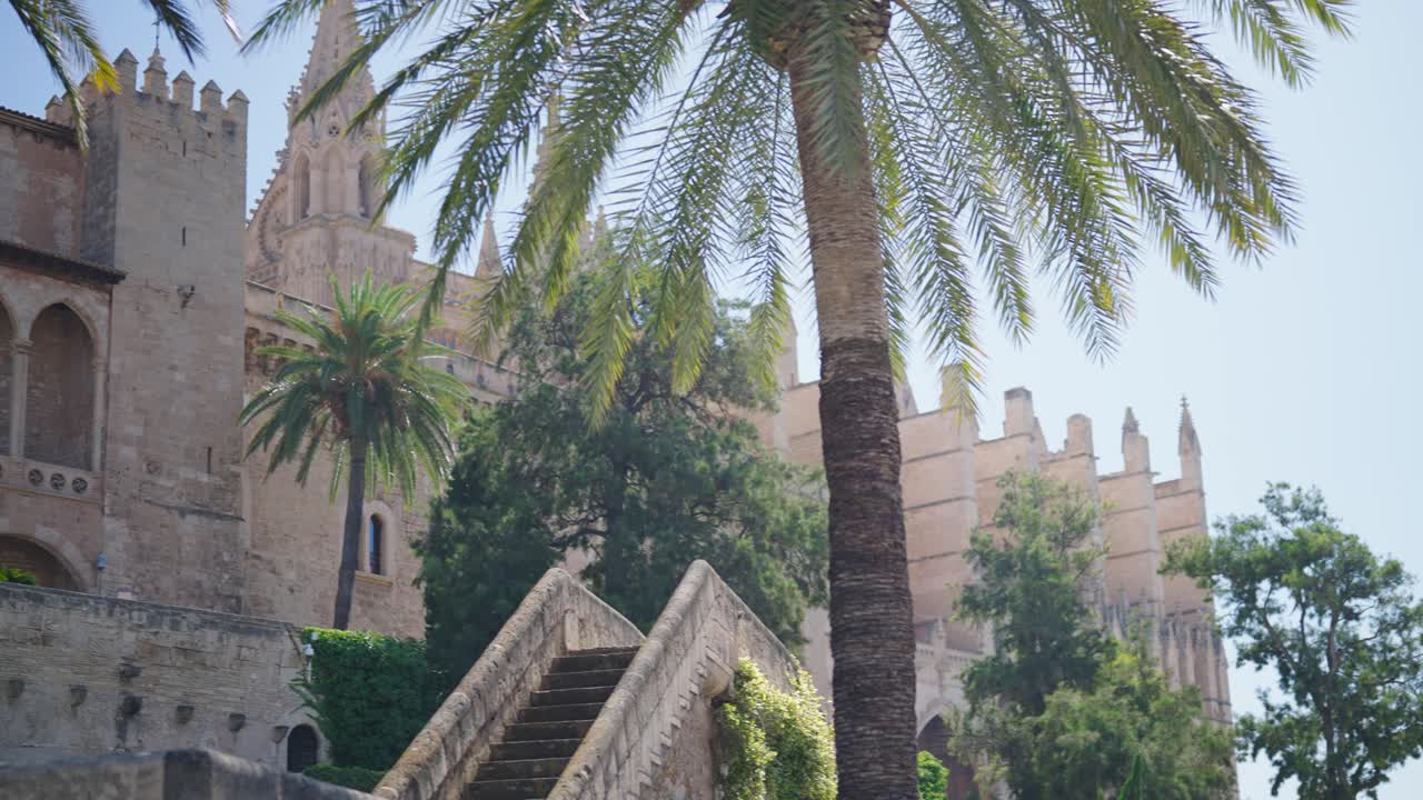 Almudaina Palace and Palma Cathedral with Palm Trees