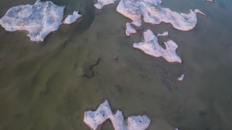 Luftaufnahmen-Einer-Schlange-Am-Pedernales-River-In-Stonewall,-Texas.