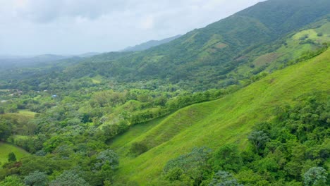 toma aérea que muestra el hermoso paisaje creciente y floreciente de los mogotes en la isla de la república dominicana