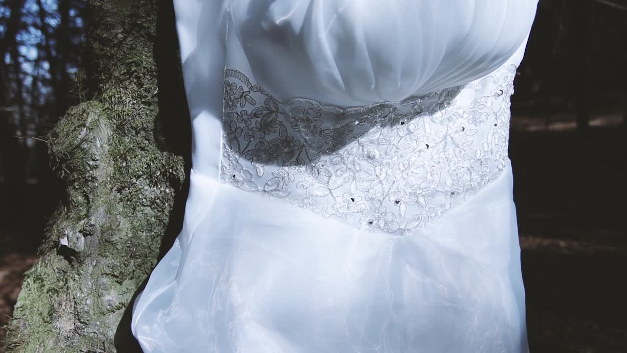 Sunlit white wedding dress and background with forest in darkness