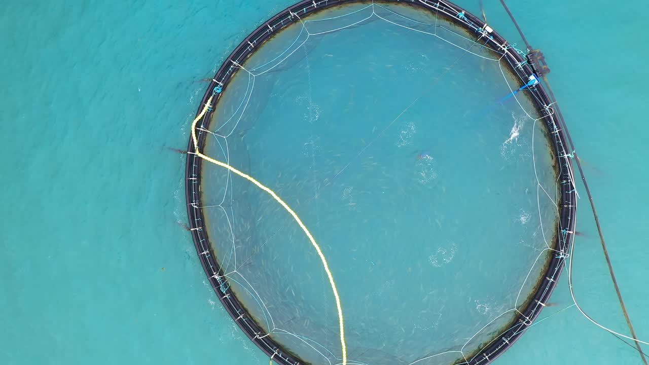 노르웨이에서 연어  ⁇ 시를 하는 공중 촬영