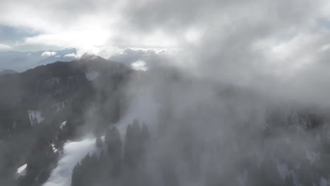 flying into misty clouds over snow valley with pines, french alps