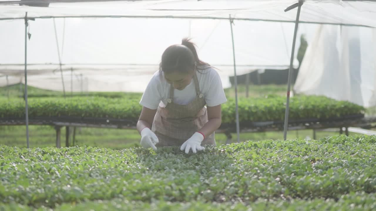 아름다운 젊은 여성의 체크 플랜팅